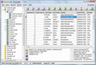 xBaseView Database Explorer screenshot